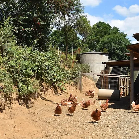 On A Farm In Bad Wildungen