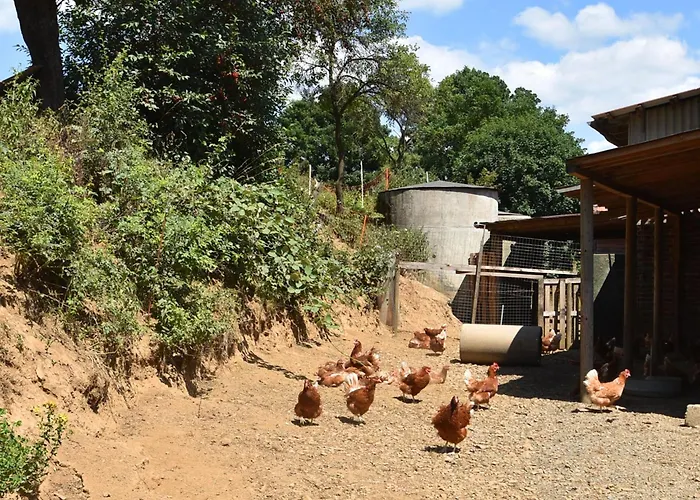 Auf Einem Bauernhof In Bad Wildungen
