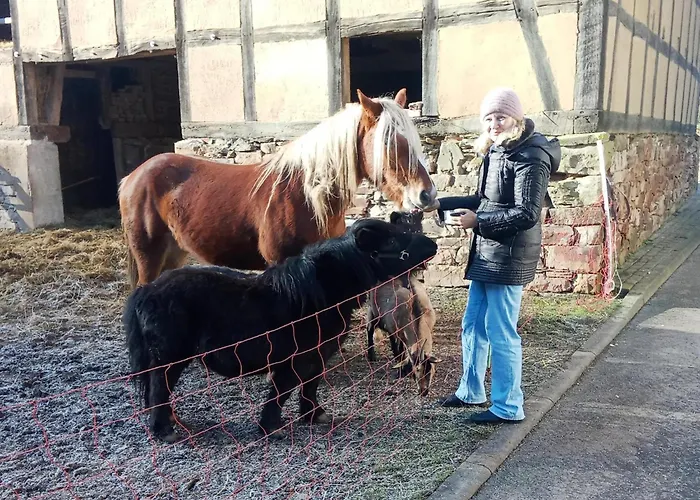 Auf Einem Bauernhof In
